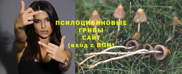 мяу мяу кристалл Инсар