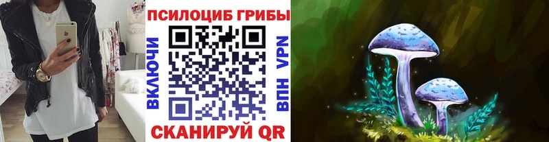 Псилоцибиновые грибы Psilocybe  блэк спрут tor  Иннополис 